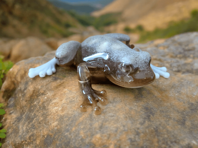 Grenouille en résine époxy 